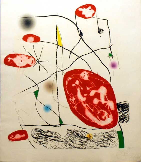 El Pi De Formentor 9